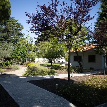 Aires Da Serra Torres Novas