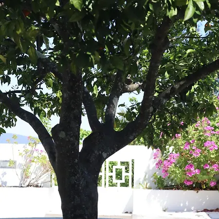Hotel Aires Da Serra Torres Novas