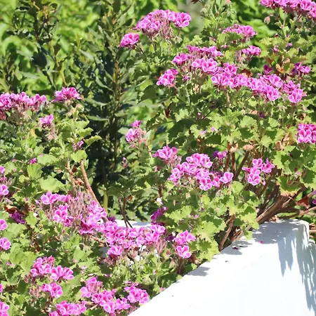 Aires Da Serra Hotel 4*