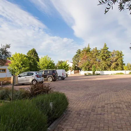 Aires Da Serra Torres Novas