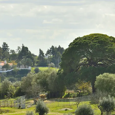 Aires Da Serra 4* Torres Novas