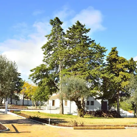Aires Da Serra Torres Novas