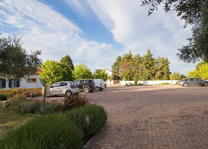 Aires Da Serra Torres Novas