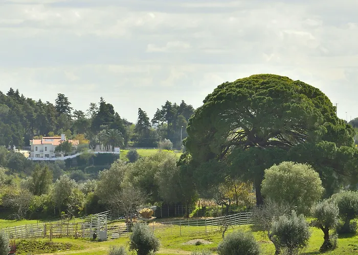 Aires Da Serra 4* Torres Novas